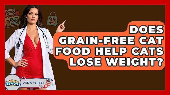 Does Grain-free Cat Food Help Cats Lose Weight? - Ask A Pet Vet