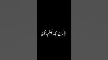 كروما خلفية سوداء سورة النمل #قرآن #اكسبلور #تدبر_القرآن #لايك #خلفية_سوداء #راحة_نفسية #المصحف
