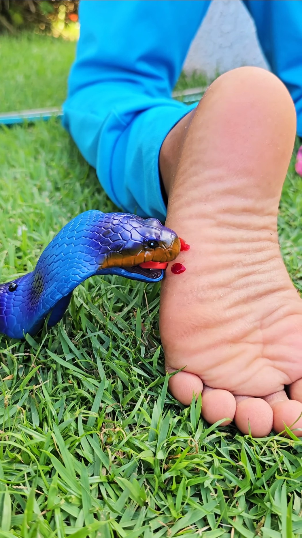 Ataack da Naja Azul ???? #funny  #comedy