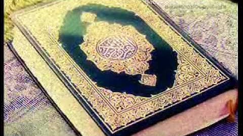 قراءة رائعة للشيخ نبيل العوضي - من سورة الفجر