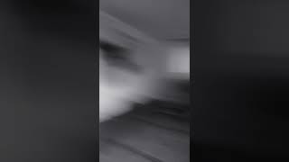 Sagawa 1 Gou Gummybear Song In 4Ormulator V9 Dont Take This Town