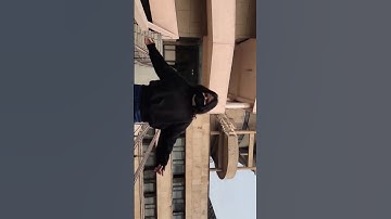 1 Year at IIT Delhi in 1 Minute🔥#iitd #iitdelhi #jee #jeemotivation