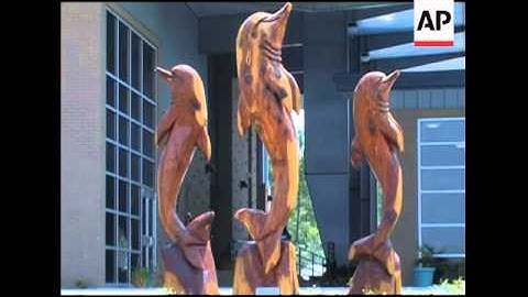 Conservationists attempt to rescue turtle nests from oil spill