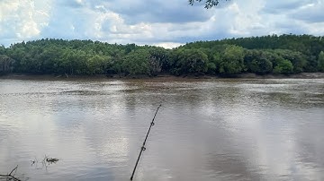 Câu cá út cùng bạn Cảnh ở Tam Thôn Hiệp - Cần Giờ