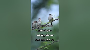 تلاوة خاشعة بصوت حنون جميل/طبيعة وطيور(ربي أغفرلي ولوالدي وللمسلمين والمسلمات)