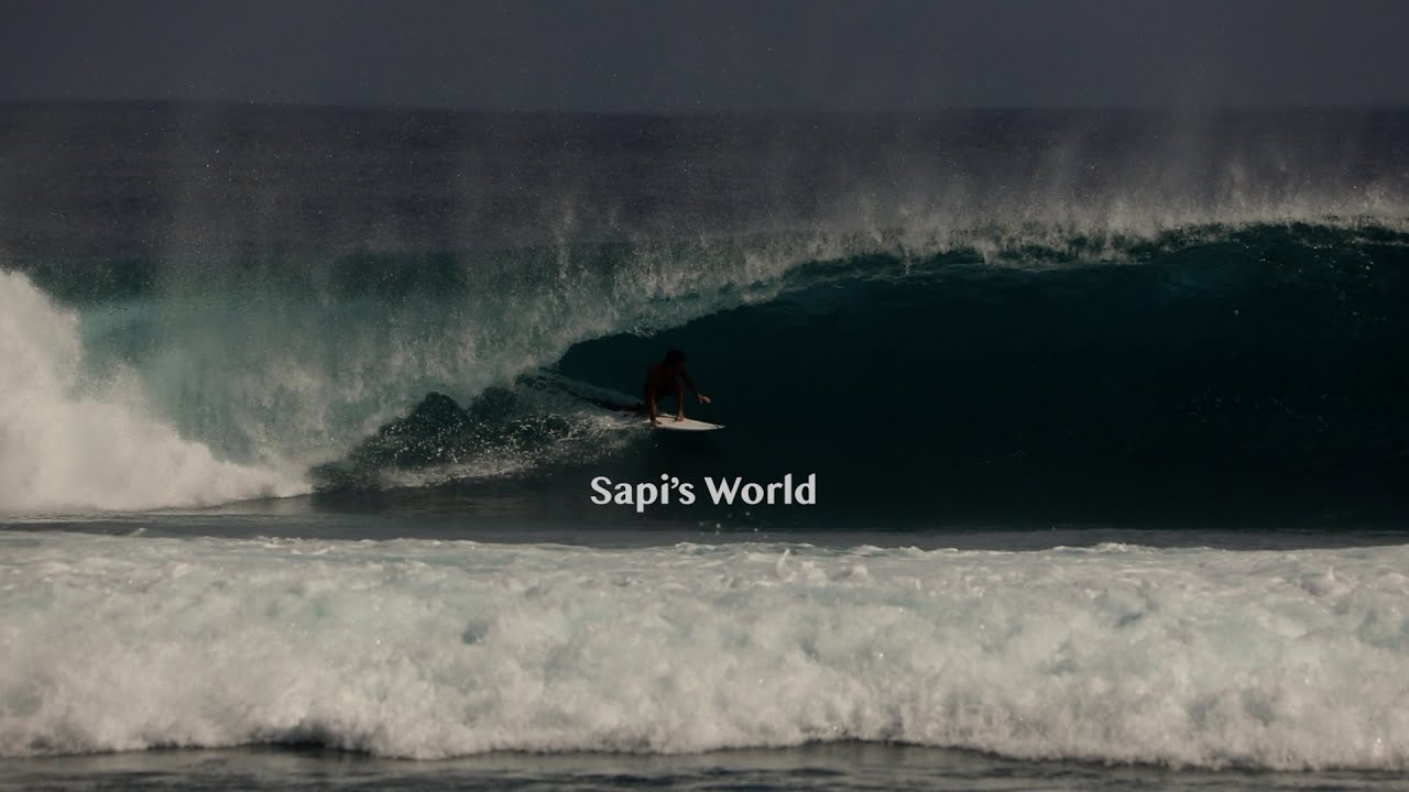 Sapi's World