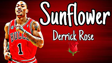 “Sunflower” - Derrick Rose Edit