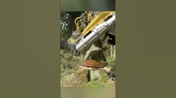 "Powerful Harvester Cutting & Delimbing Trees in Seconds!"