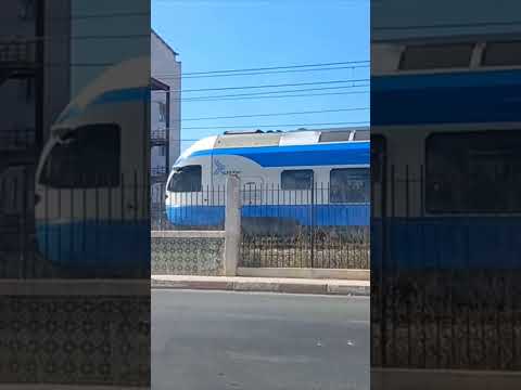 شاهدو قطار الضاحية في مدينة الدار البيضاء