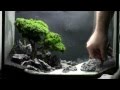 Bonsai Aquarium   Acquario Bonsai   Step by Step