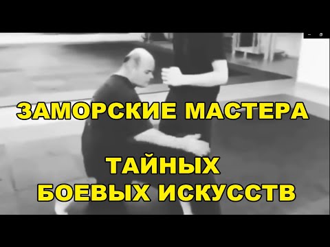 Видео: Разлика между кунг-фу и карате