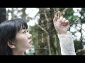img「柊の花」 Official Music Video