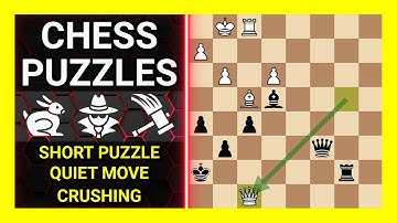 Chess Puzzles to Practice. Themes: Short puzzle, Quiet move, Crushing. Learn Chess