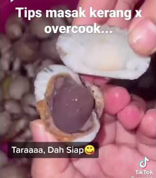 Cara rebus kerang tanpa overcook ❤️