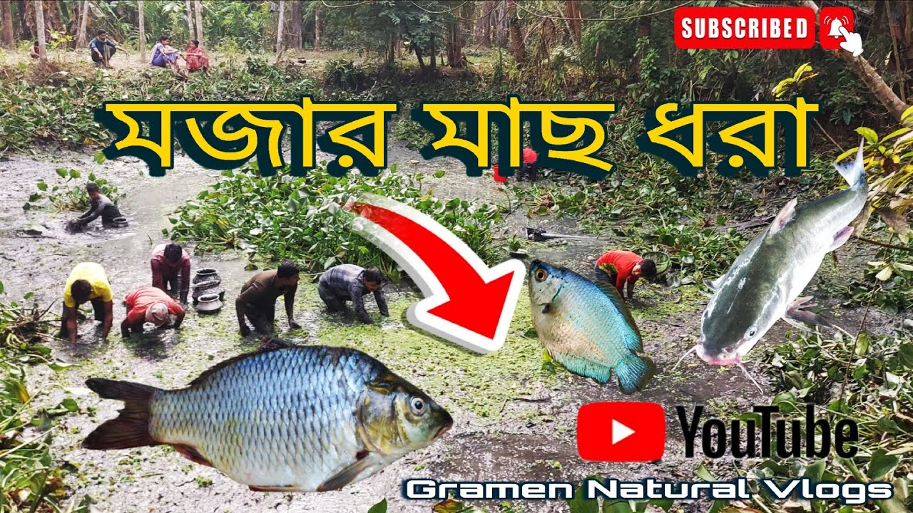 মজার মাছ ধরা 🎣 | অনেক দেশি মাছ পেলাম! 😲🐟 #villagefishing #viral 