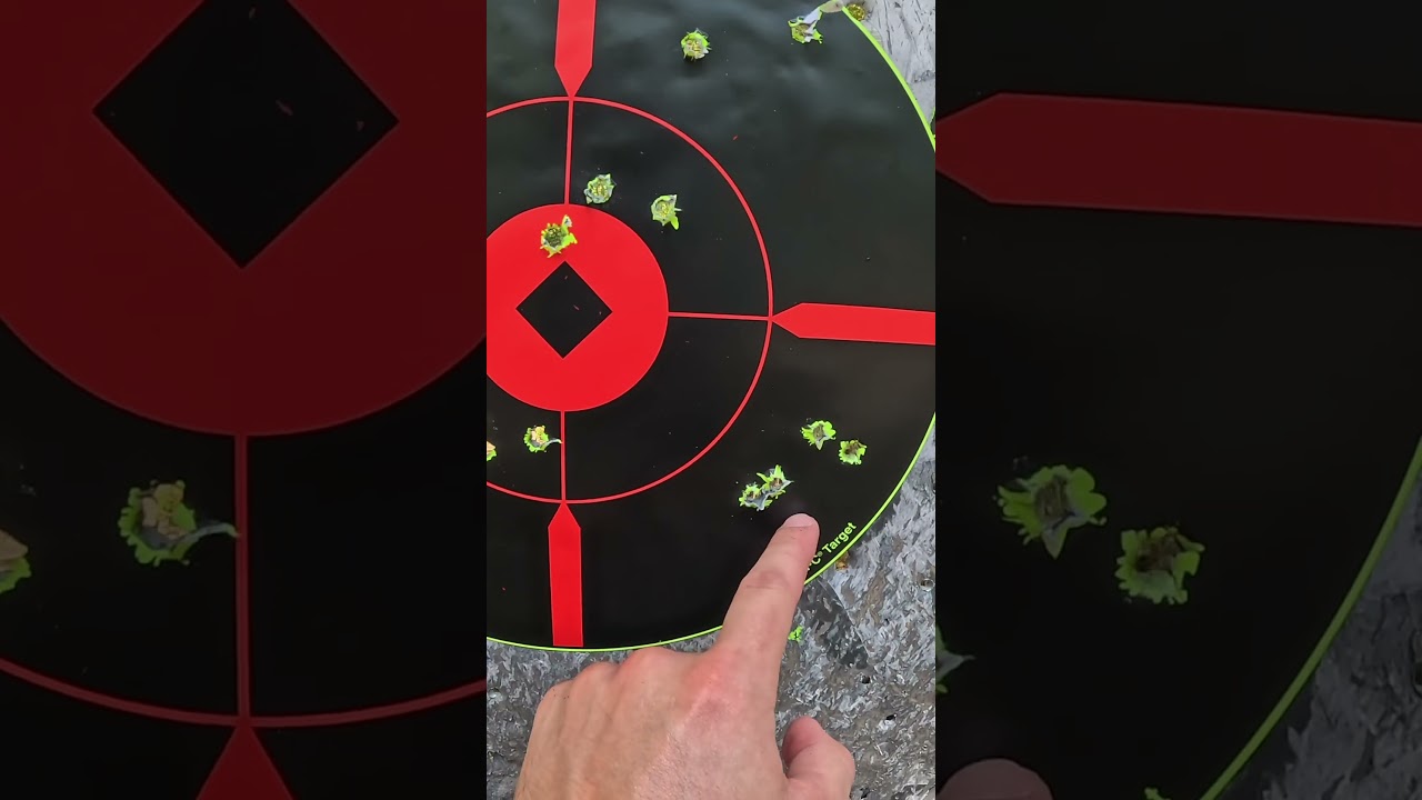 Grouping .308 with 5 different ammo types