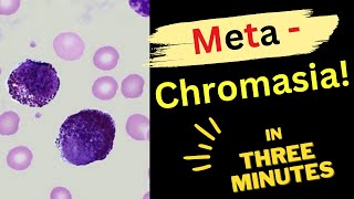 Metachromasia - In THREE 3️⃣ MINUTES