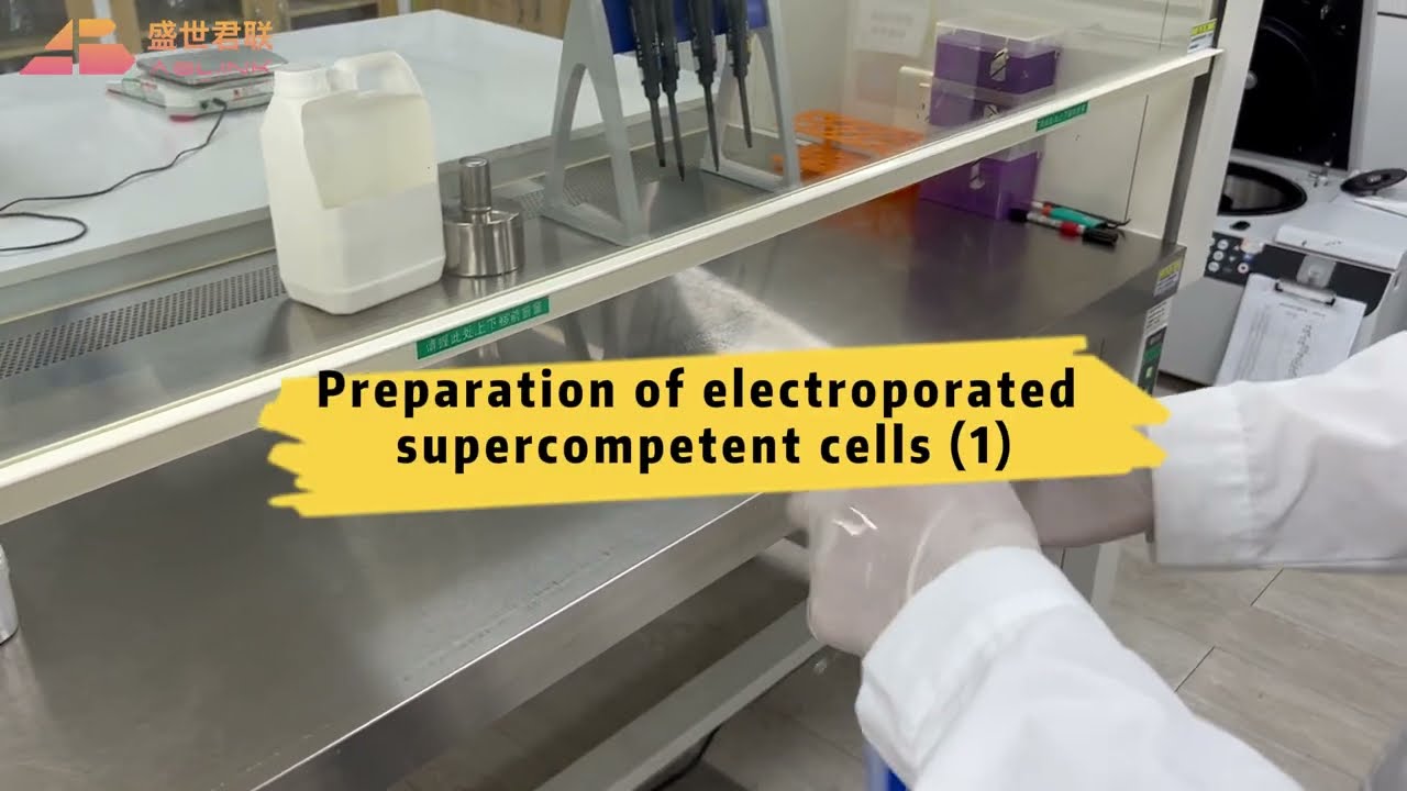 Preparation of electroporatedsupercompetent cells (1)  电转用超级感受态细胞制备（1）