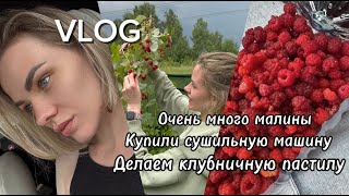 видео: VLOG//Очень много малины//Купили сушильную машину//Делаем пастилу первый раз рецепт//Приехали грядки картинка: VLOG//Очень много малины//Купили сушильную машину//Делаем пастилу первый раз рецепт//Приехали грядки