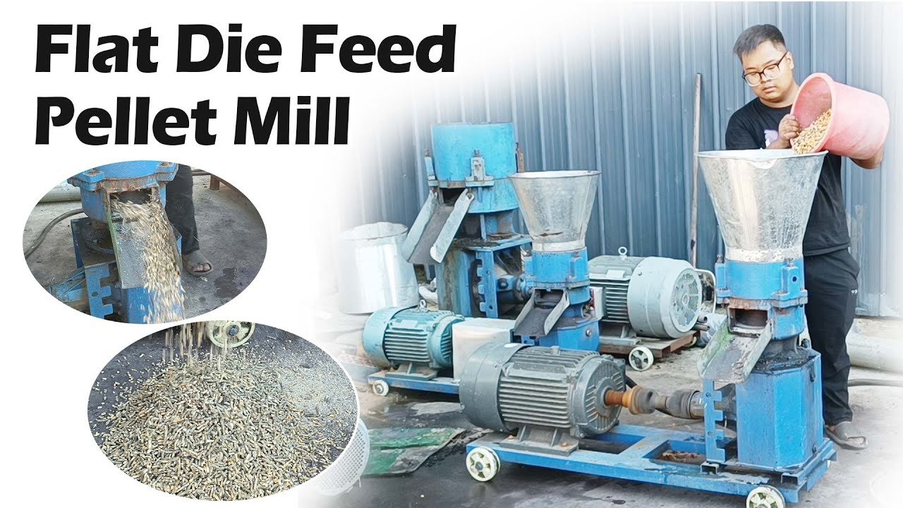 Pellet Mill Die Breakage and Poor Die Life – A Big Challenge in feed  Industry