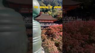 Download Lagu Aloha Japan #follow #travel  #foryou #friends #japan #shorts #foryoupage MP3 Download Lagu Aloha Japan #follow #travel  #foryou #friends #japan #shorts #foryoupage MP3