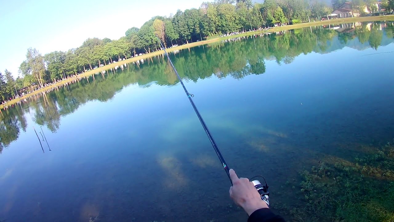 #TrotaLagoComo #CampionatoBox2019 #GiancarloSoretti #AdpLaghiVerdiInverigo