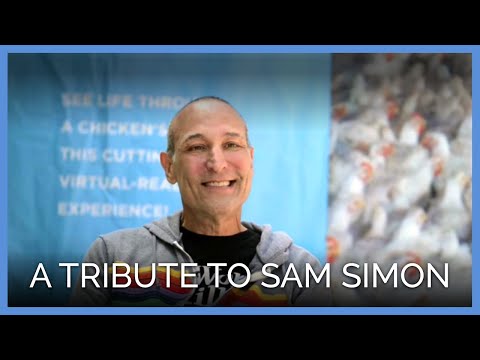 Video: Hollywood en Animal Lovers Alike Mourn Philanthropist en Simpsons Co-Creator Sam Simon