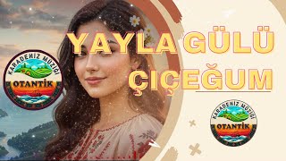 Otantik Karadeniz Müzik - Yayla Gülü Çiçegum ,