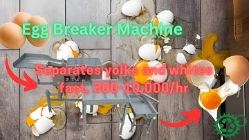 Egg Breaking Separator Machine | Yolk White Separation Line | Egg Processing 300 to 10000 Eggs/Hour