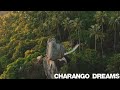 Peaceful charango music  nature 4k ultrastress relief