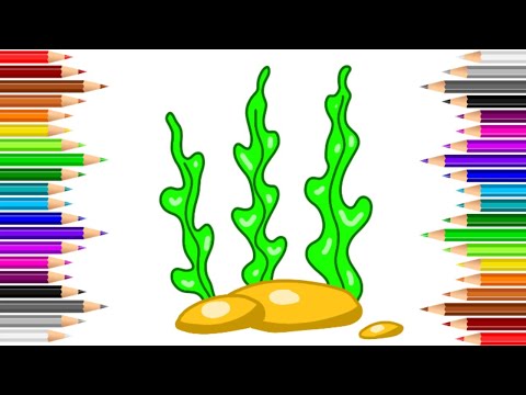 رسم طحالب البحر بطريقة سهلة وبسيطة جدا خطوة بخطوة للمبتدئين