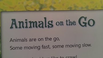 Unit 4: Animals on the Go