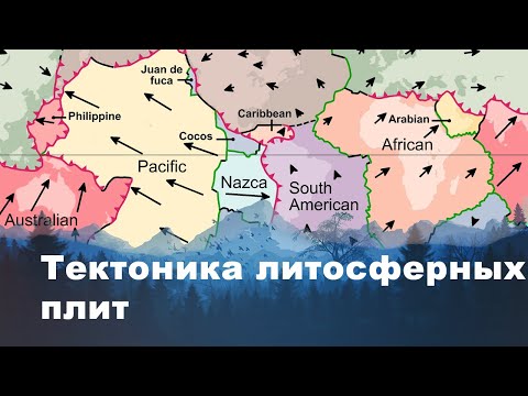 Видео: Разница между континентальным дрейфом и тектоникой плит
