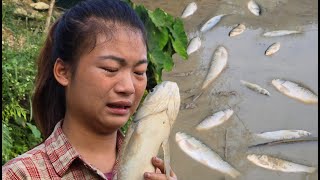 Pull out weeds in infected gardens and fish ponds -ha thi muon