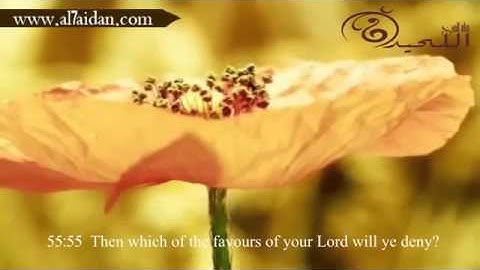 روائع التلاوات (فإذا انشقت السماء فكانت وردة) من سورة الرحمن HD