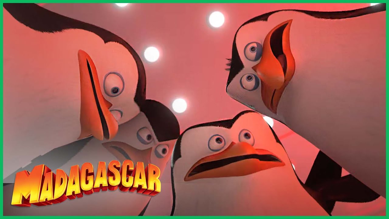 Os Pinguins de Madagascar - Filme 2014 - AdoroCinema