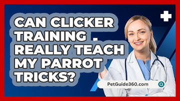 Can Clicker Training Really Teach My Parrot Tricks? - PetGuide360.com
