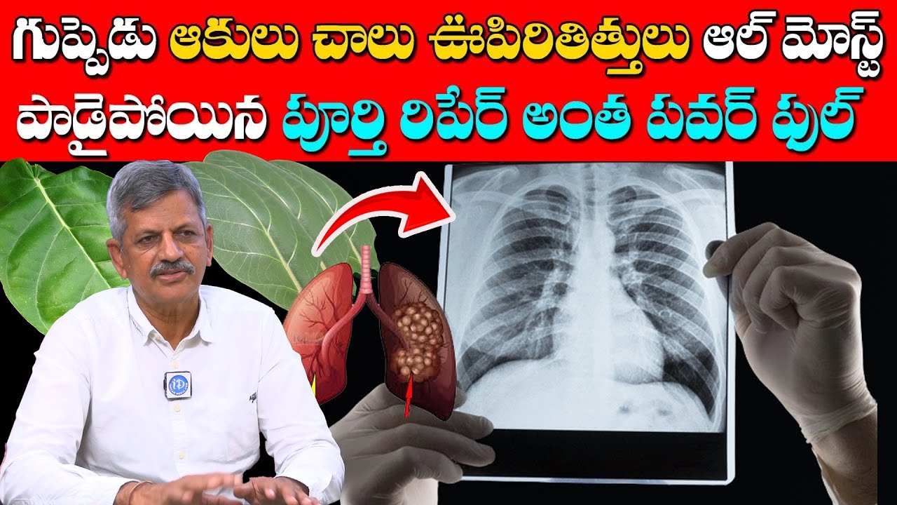 పాడైపోయిన ఊపిరితిత్తులకు కూడా ప్రాణం పోసే ఆకు ఇదే | Best Tips to Clean your Lungs | Dr AnjaneyaRaju