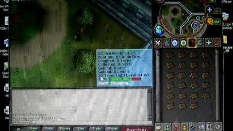 How To run a script in RSbot