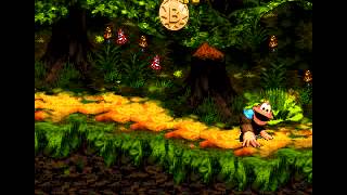 Let's play Donkey Kong country 3 (103%) part 10