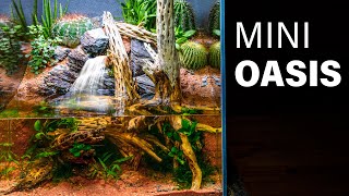 Making a Mini Desert Oasis for The Red Shrimp by SerpaDesign 1,015,452 views 8 months ago 9 minutes, 6 seconds