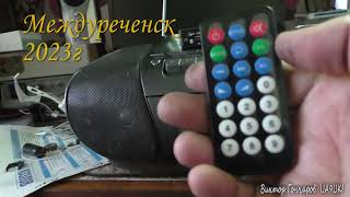 : Panasonic RX D29   
