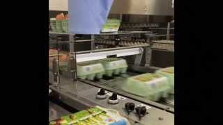 Moba 2500 Egg Grader