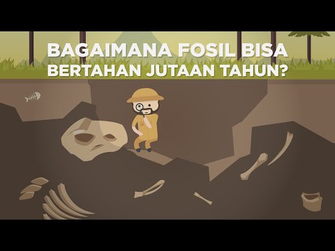 Video: Apa itu batu fosil?