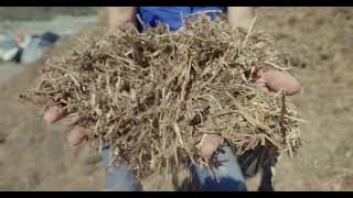 Aromatic Cedar Mulch