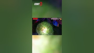 GRAFISCHE WAARSCHUWING: "PEDRO, ALSJEBLIEFT!" Bodycambeelden tonen #DaisyLink die smeekt aan haar...