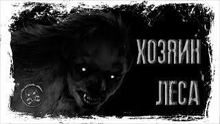 ХОЗЯИН ЛЕСА. Страшилки. Истории от подписчиков. ХОЗЯИН ЛЕСА. Страшилки. Истории от подписчиков.