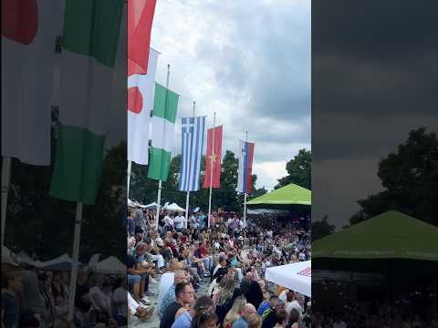 Folk Festival-Ingolstadt🎎🎎