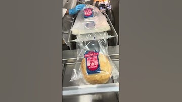 UBE 2600 BAND SLICER WITH HAND BAGGER