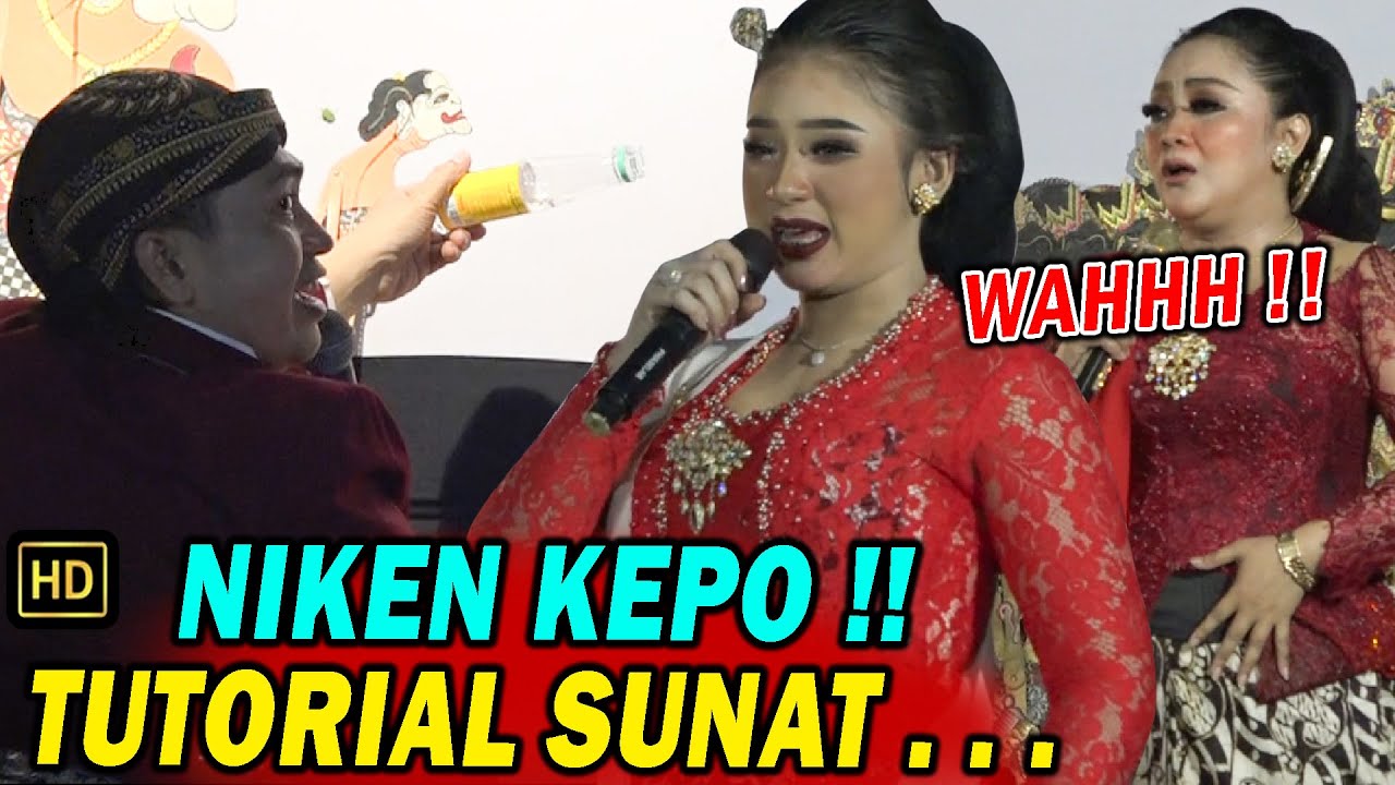 Lezbiyenlar aylana boylab yotishdi Kokraklar, mushuklar va kokrak uchlari